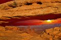 1099 - mesa arch - MUSKOVAC Nicholas - united states of america